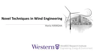 Novel Techniques in Wind Engineering  Horia HANGAN  INTRODUCTION  Pielke Jr. (1997):  minimize