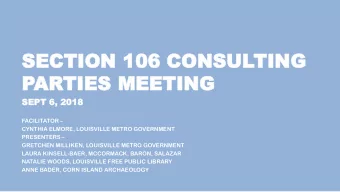 SE  SECTION  CTION 106 CO  106 CONS  NSUL  ULTIN  TING  G  PAR  ARTIES  TIES MEE  MEETING  TING  SE