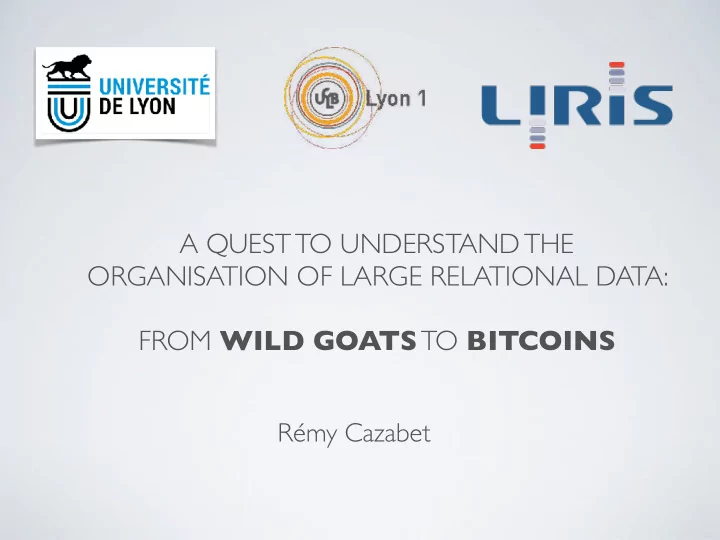 a quest to understand the organisation of large