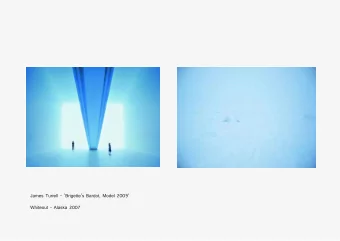 James Turrell - Brigettes Bardot, Model 2009  Whiteout - Alaska 2007  The ganzfeld