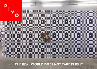 THE REAL WORLD DOES NOT TAKE FLIGHT  The images in this exhibition are those of a dream I had three