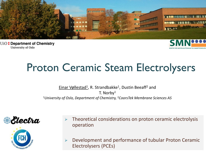 proton ceramic steam electrolysers