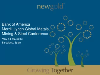 Merrill Lynch Global Metals,  Mining &amp; Steel Conference  May 14-16, 2013  Barcelona, Spain