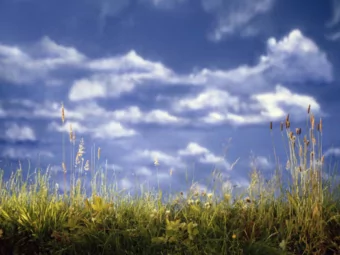 Terra Nova  Terra Nova  Rural Park Plan  Rural Park Plan  Part 1  Part 1  Getting to know the