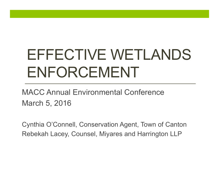 effective wetlands enforcement