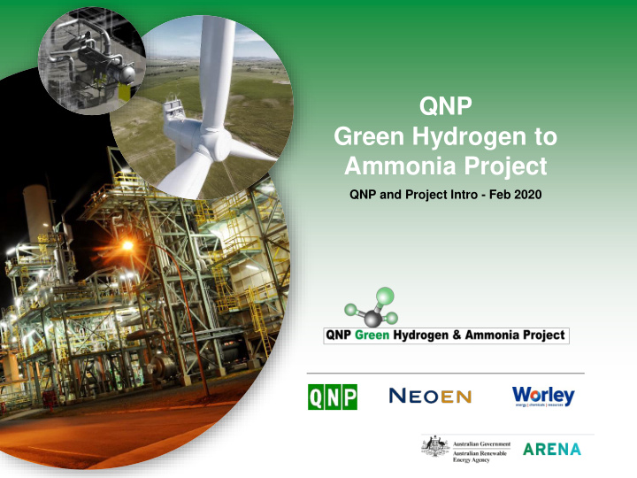 ammonia project