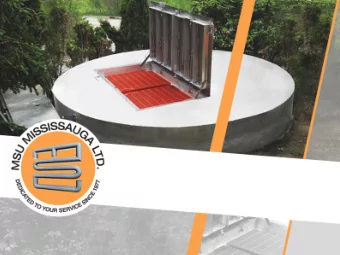 Introduction  Founded  in  1977,  MSU  Mississauga  ltd.  Is  a  Canadian