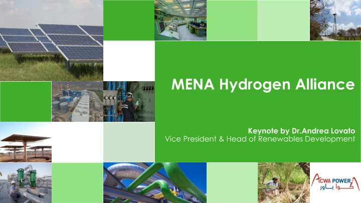 mena hydrogen alliance