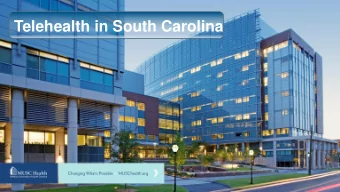 Telehealth in South Carolina  Presenter Disclosures James McElligott  The following relationships