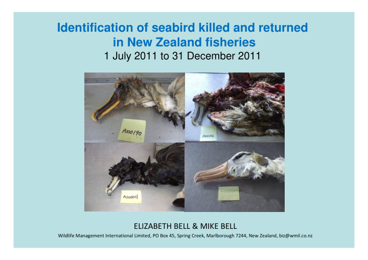 identification of seabird killed and returned in new