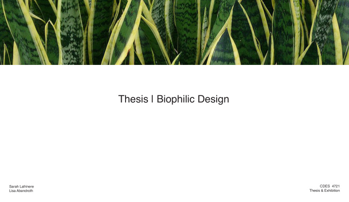 thesis biophilic design