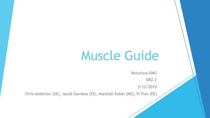muscle guide