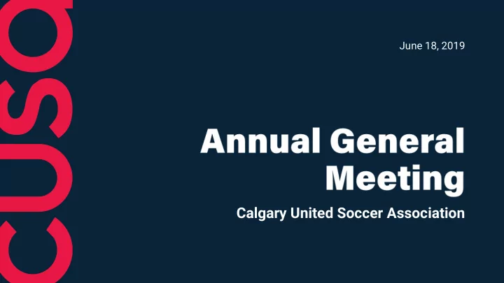 calgary united soccer association 1 st vice president 2