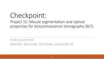 Checkpoint:  Project 15: Mouse segmentation and optical  properties for bioluminescence tomography