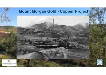 Mount Morgan Gold - Copper Project  Important Information and Disclaimer Summary information and