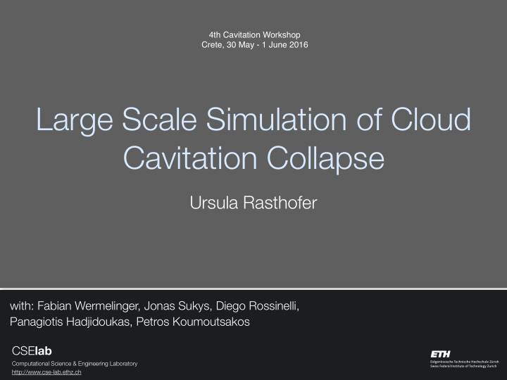 large scale simulation of cloud cavitation collapse