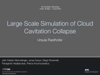 Large Scale Simulation of Cloud  Cavitation Collapse  Ursula Rasthofer  with: Fabian Wermelinger,