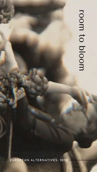 room to bloom  EUROPEAN ALTERNATIVES- 2020  EUROPEAN ALTERNATIVES- 2020  Summary  ROOM TO BLOOM