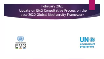 update on the EMGs contribution to WG2020  EMG Process  Aug 2019  Nov 2019  Feb 2020  Sept 2019