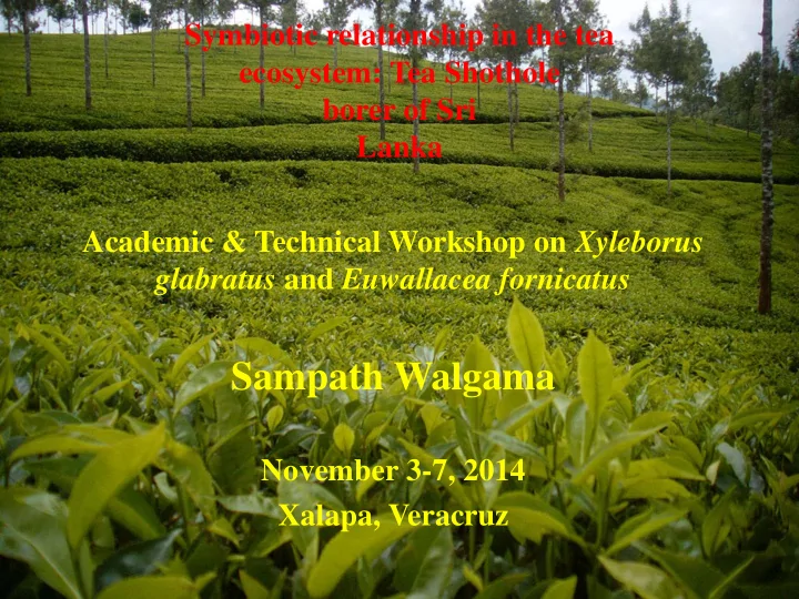 sampath walgama