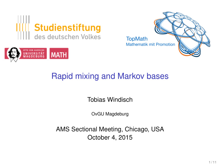 rapid mixing and markov bases