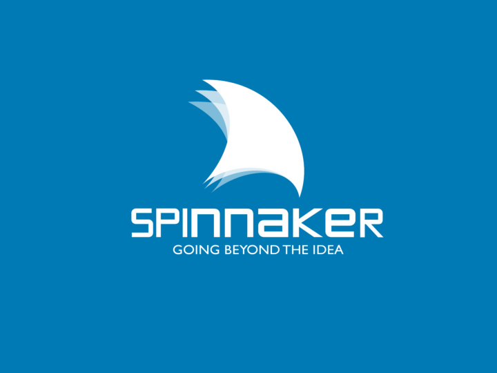 spinnaker opportunities plc