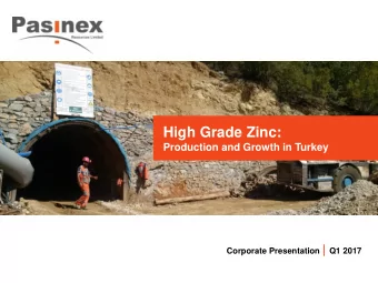 High Grade Zinc:  Production and Growth in Turkey Corporate Presentation | Q1 2017  Disclaimer The