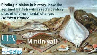 Mintin vat! Benthic flatfish and bentho-pelagic cod on a shore  Jan van Kessel senior,