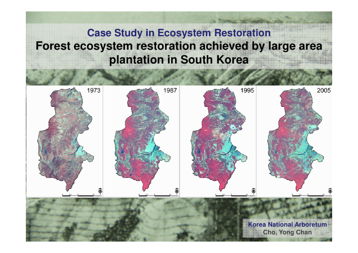 forest ecosystem restoration achieved by large area
