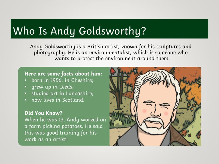 who is andy goldsworthy