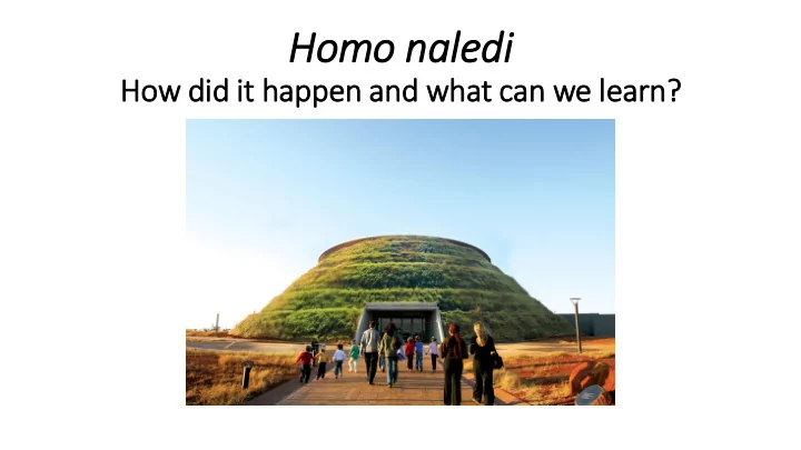 homo naledi