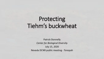 Protecting Tiehms buckwheat  Patrick Donnelly  Center for Biological Diversity  July 15, 2020
