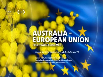 Tow  owards a  a Com  Comprehensiv  ive &amp; Ambit  itious FT  FTA  Juli  liana Nam  Nam,  ,