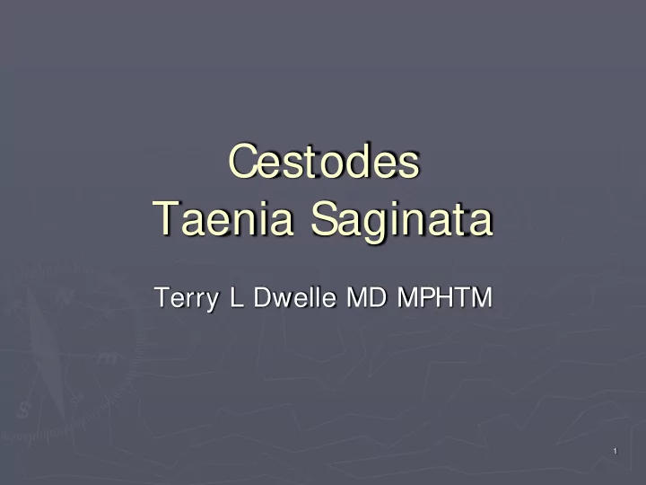 cestodes taenia saginata