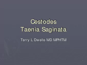 Cestodes  Taenia Saginata  Terry L Dwelle MD MPHTM  1  Geographic Distribution  T.saginata is