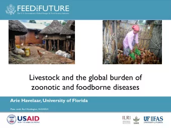 Livestock and the global burden of  zoonotic and foodborne diseases  Arie Havelaar, University of