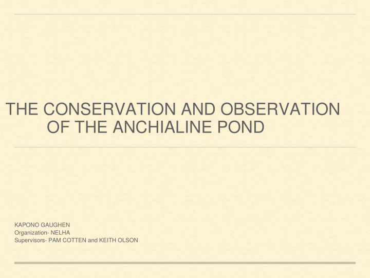 of the anchialine pond