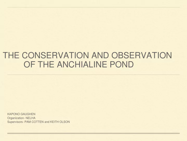 of the anchialine pond