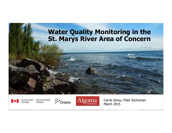 water quality monitoring in the st marys river area of