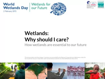 Wetlands:  Why should I care?  How wetlands are essential to our future  This presentation and the