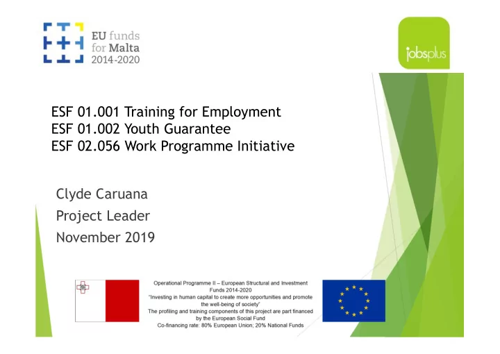 esf 01 001 training for employment esf 01 002 youth