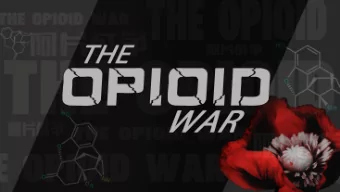 What can we do?  01  02  03  Analyze  Seek For  Study  Literature  Drug Reports  Professional