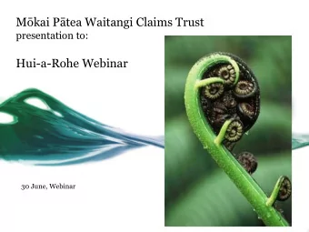 Mkai Ptea Waitangi Claims Trust  presentation to:  Hui-a-Rohe Webinar  30 June, Webinar