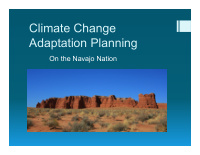 climate change adaptation planning