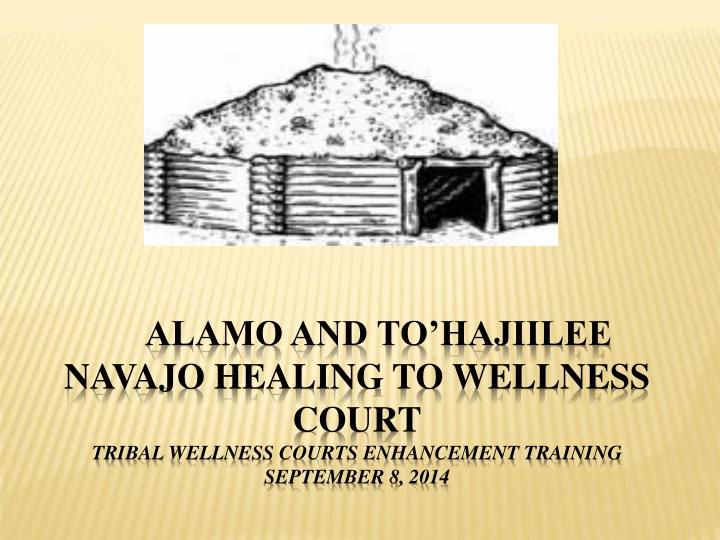 navajo healing to wellness