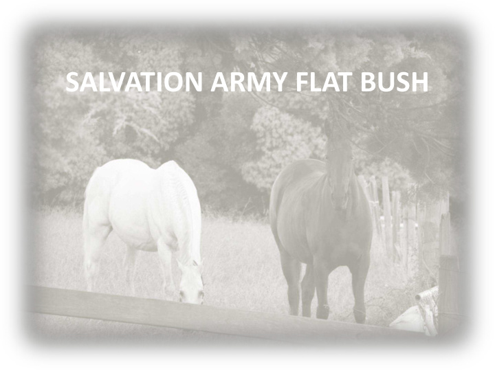 salvation army flat bush salvation army flat bush the