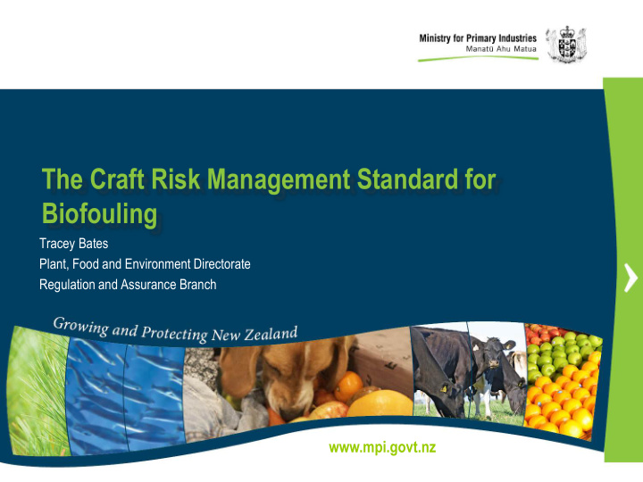 the craft risk management standard for biofouling