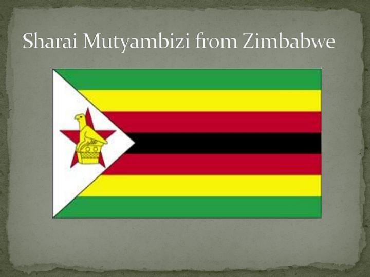 in zimbabwe