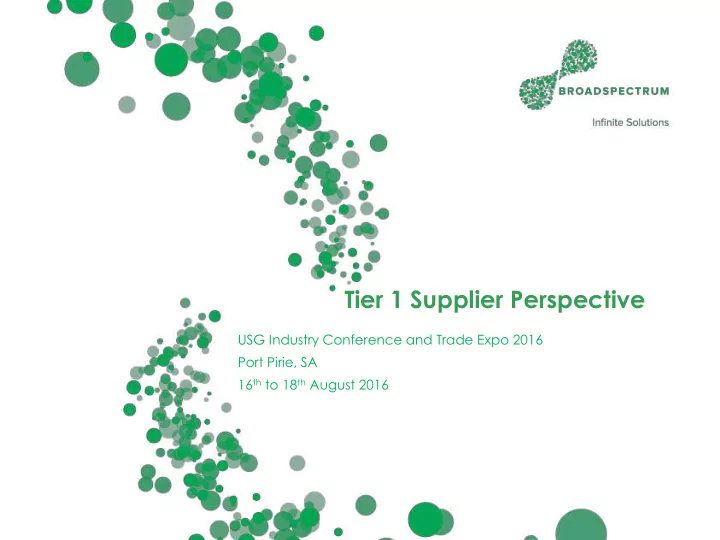 tier 1 supplier perspective