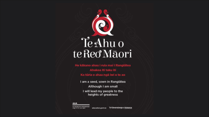 supporting te reo m ori revitalisation efforts and